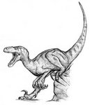 Raptor___or_Deinonychus_by_BullyKilla.jpg